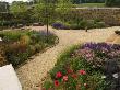 Gravel Garden With Rocks And Borders Of Grasses And Perennials by Clive Nichols Limited Edition Print