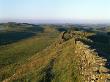 Hadrian's Wall, Northumberland, England by Colin Dixon Limited Edition Print