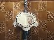 Edward Vii's Urinal, Wolferton Royal Railway Station by Lucinda Lambton Limited Edition Print