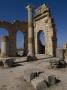 Basilica, Numidian/Roman Site Of Volubilis, Near Meknes, Morocco by Natalie Tepper Limited Edition Print
