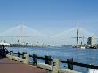 Eugene Talmadge Memorial Bridge, Savannah River, Savannah, Georgia, 1991 by Natalie Tepper Limited Edition Print
