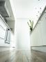 Cool White Modern Urban Kitchen At Floor Level In Loft Apartment by Richard Powers Limited Edition Print