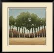 Stand Of Trees Ii by Ethan Harper Limited Edition Pricing Art Print