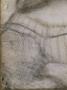 Portrait De Femme De Profil Tournee Vers La Gauche Dite Isabelle D'este by Leonard De Vinci Limited Edition Pricing Art Print