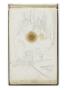Etudes De Personnages Et De Scenes by Paul Cezanne Limited Edition Print