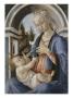 80643 by Sandro Botticelli Limited Edition Print