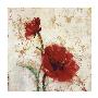 Simply Floral Ii by Tim O'toole Limited Edition Print