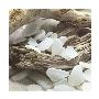 Sea Glass, White by Celia Pearson Limited Edition Print