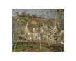 Red Roofs, Village Corner, Impression Of Winter, 1877 by Camille Pissarro Limited Edition Print