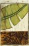 Safari Palms I by Jennifer Goldberger Limited Edition Pricing Art Print