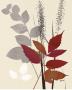 October Leaf Ii by Bella Dos Santos Limited Edition Pricing Art Print