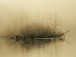 Fog Hovers Above The James River At Dawn by Raymond Gehman Limited Edition Print