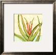 Tropicana Botanical Vi by Jennifer Goldberger Limited Edition Pricing Art Print