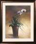 Flowering Orchid I by T. C. Chiu Limited Edition Print