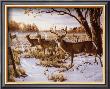 Cautious Crossing by Wilhelm J. Goebel Limited Edition Print