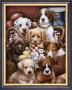 Puppies Ii by Jenny Newland Limited Edition Pricing Art Print