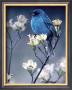 Indigo With Dogwood Blossoms by Russ Cobane Limited Edition Pricing Art Print