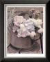 Antique Blooms Ll by Dianne Poinski Limited Edition Pricing Art Print
