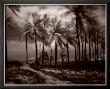 Place Of Refuge Iv by Kathleen Carr Limited Edition Print