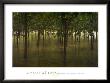 Revitalize: Forest by Sharon Woodruff Limited Edition Print