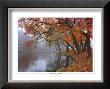 Autumn Reflections by Mike Jones Limited Edition Pricing Art Print