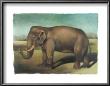 Elephant by Denise Crawford Limited Edition Pricing Art Print