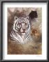 Serengeti Predator by Carol Robinson Limited Edition Print