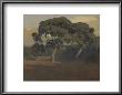 The Oaks by Arthur Frank Mathews Limited Edition Print