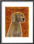 Weimaraner by John Golden Limited Edition Print