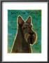 Scottish Terrier by John Golden Limited Edition Print