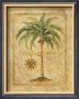 Cocoanut Palm by Tara Blomquist Limited Edition Print