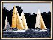 Race At Annapolis Ii by Alan Hausenflock Limited Edition Print