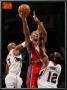New Jersey Nets V Atlanta Hawks: Damien Wilkins, Derrick Favors And Josh Powell by Kevin Cox Limited Edition Print