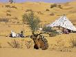 Two Distant Berber Men, A Tent, And A Camel In The Sahara Desert by Stephen Sharnoff Limited Edition Print