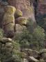 Cliffs Colored With Yellow Lichen In Chiricahua Nat'l Monument by Stephen Sharnoff Limited Edition Print