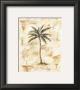 Palm I by Justin Coopersmith Limited Edition Print
