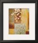 Apple Blossoms by Xavier Limited Edition Print