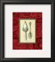 Trowel by Charlene Audrey Limited Edition Print