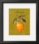 Lemon by Nancy Wiseman Limited Edition Pricing Art Print
