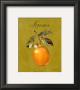 Lemon by Nancy Wiseman Limited Edition Print