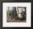 Autumn's Majesty by Kevin Daniel Limited Edition Pricing Art Print