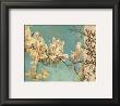 Jardin Floral I by Susan Chang Limited Edition Print