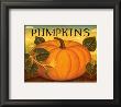 Pumpkins by Diane Pedersen Limited Edition Pricing Art Print