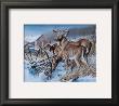 Snow Drifters by Kevin Daniel Limited Edition Pricing Art Print