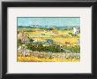 The Reaping At La Crau by Vincent Van Gogh Limited Edition Print
