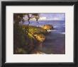 Point Lobos by Scott Christensen Limited Edition Pricing Art Print