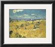 The Wheat Field, C.1888 by Vincent Van Gogh Limited Edition Print