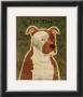 Pit Bull by John Golden Limited Edition Print