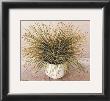 Bare Grass I by Galley Limited Edition Print