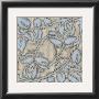 Silver Filigree Ix by Megan Meagher Limited Edition Pricing Art Print